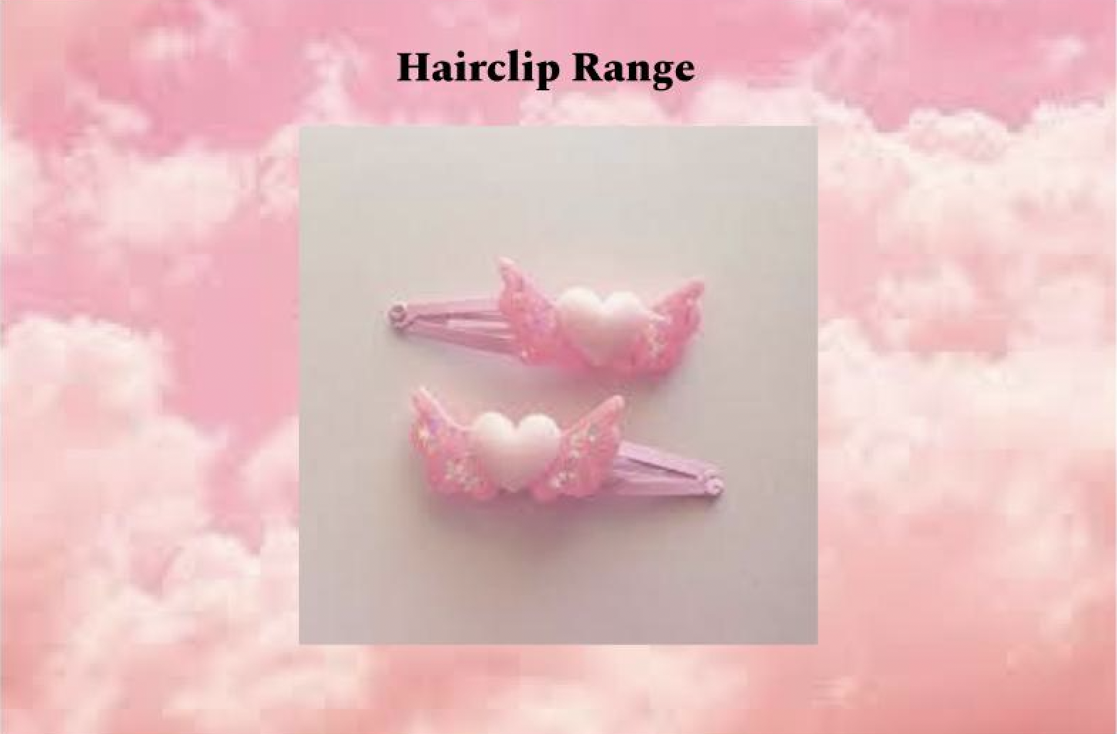 Hairclip Range