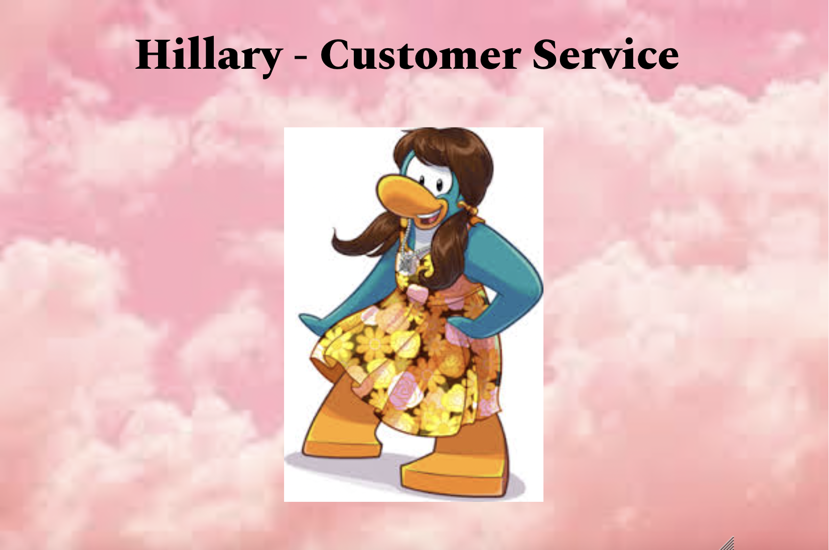 Hillary/Customer Service