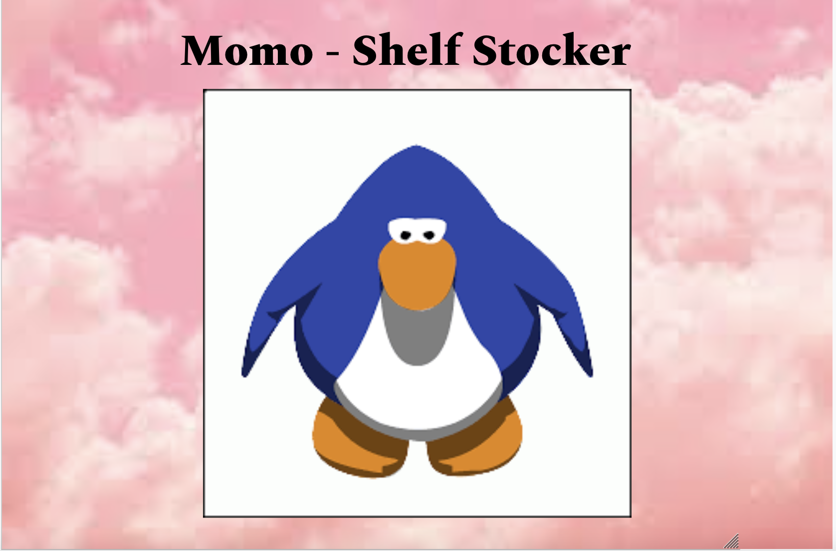 Momo/Shelf Stocker