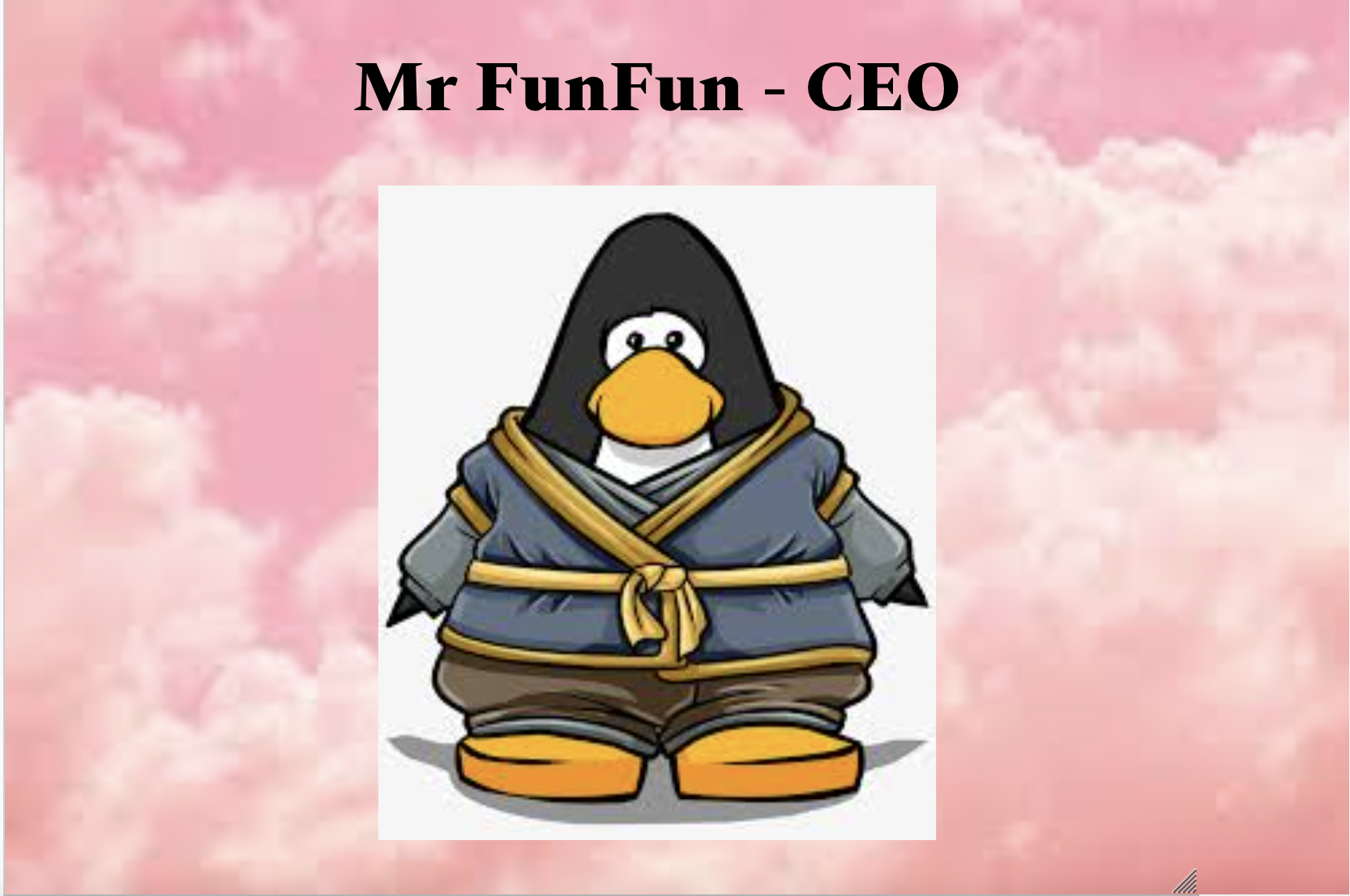 Mr FunFun/CEO